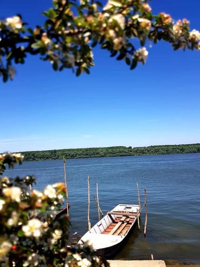 Villa San Na Vodi Smederevo Exterior foto